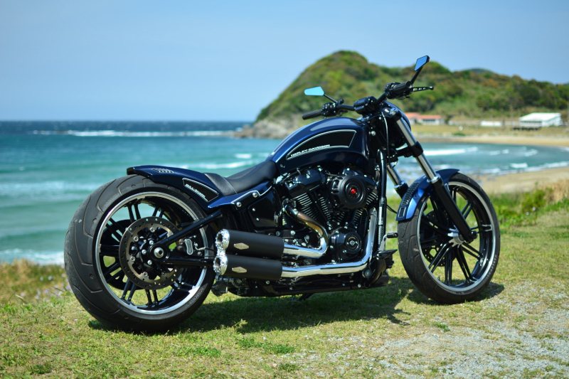 Harley-Davidson MILWAUKEE-EIGHT  Breakout  custom
